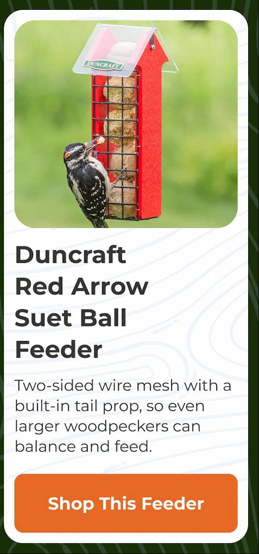 Duncraft Red Arrow Suet Ball Feeder
