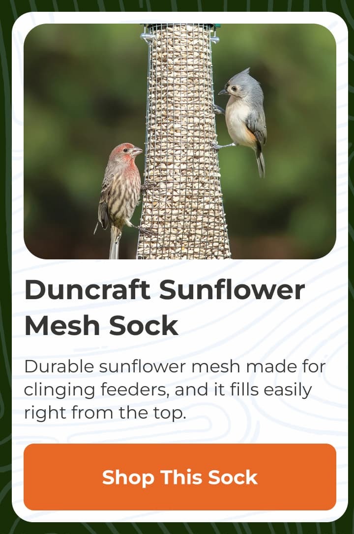 Duncraft Sunflower Mesh Sock