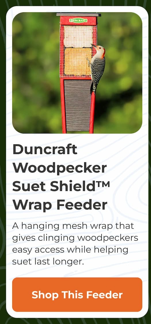 Duncraft Woodpecker Suet Shield Wrap Feeder