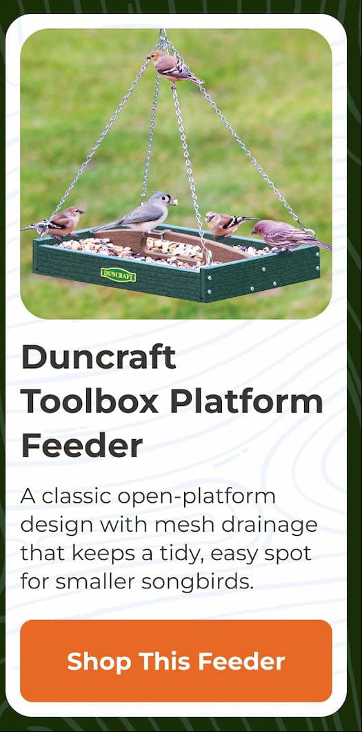 Duncraft Old-Fashioned Toolbox Platform Feeder