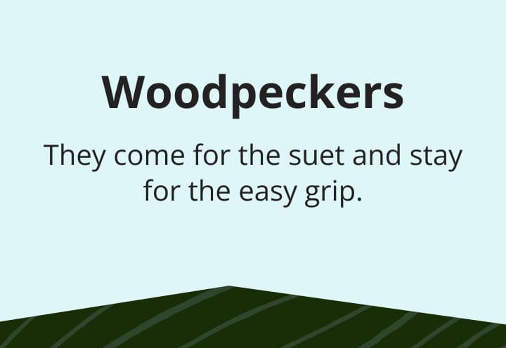 Woodpeckers