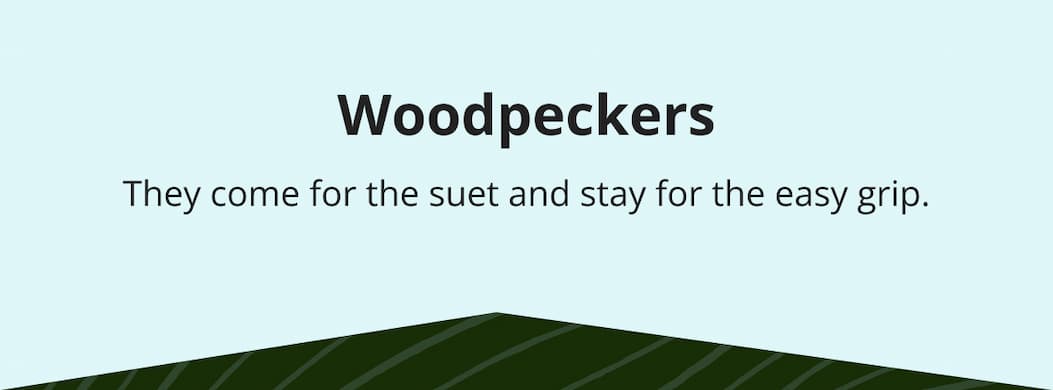 Woodpeckers