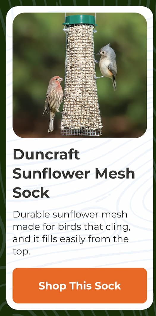Duncraft Sunflower Mesh Sock