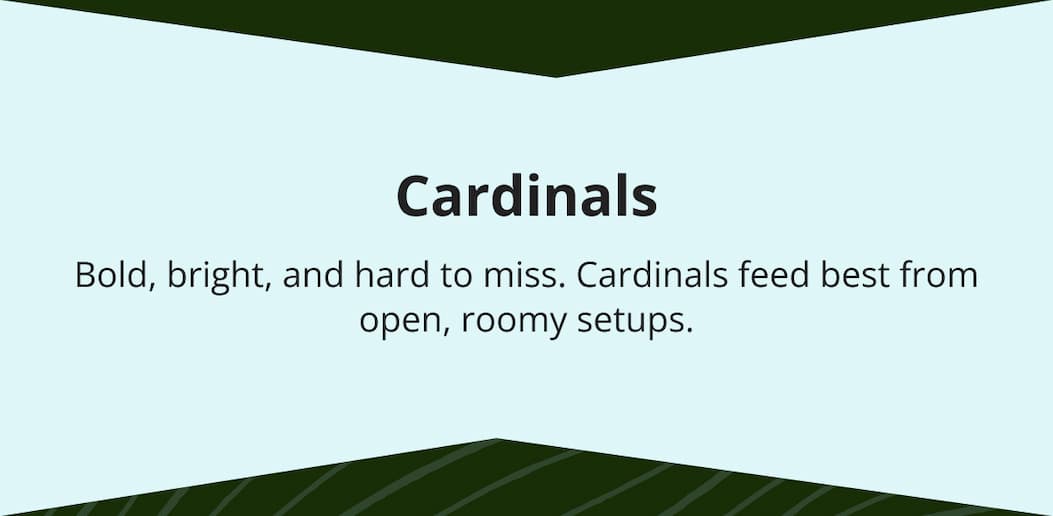 Cardinals