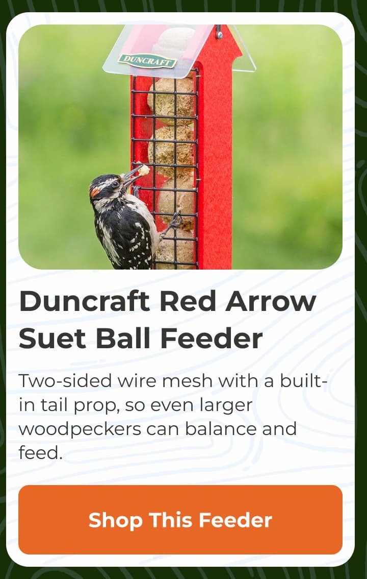 Duncraft Red Arrow Suet Ball Feeder