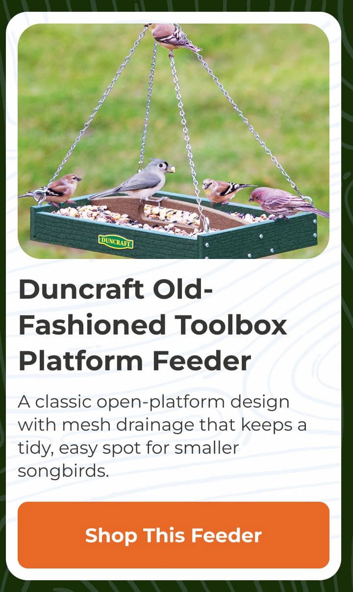 Duncraft Old-Fashioned Toolbox Platform Feeder