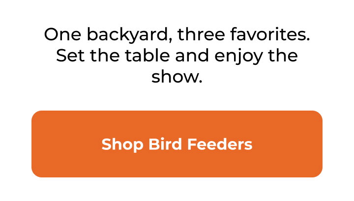 One backyard, three favorites