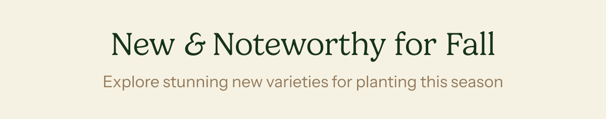 New & Noteworthy for Fall - Explore stunning new varieties for planting this season.