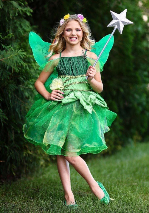 Garden Fairy Costume Dress for Girls