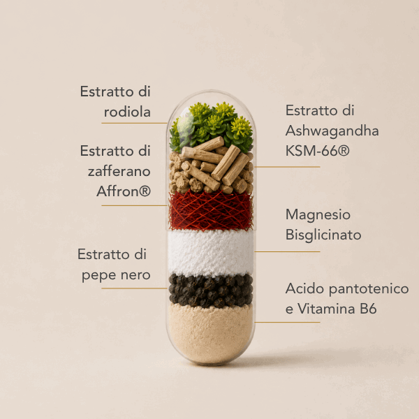 Composizione premium per il massimo supporto