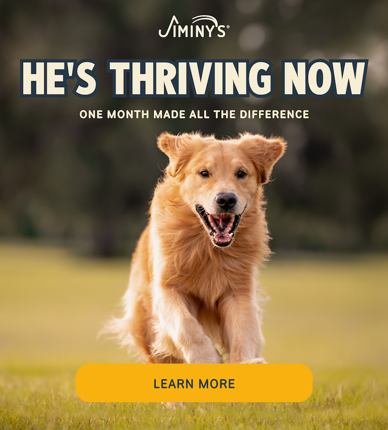 He's thriving now SHOP TREATS