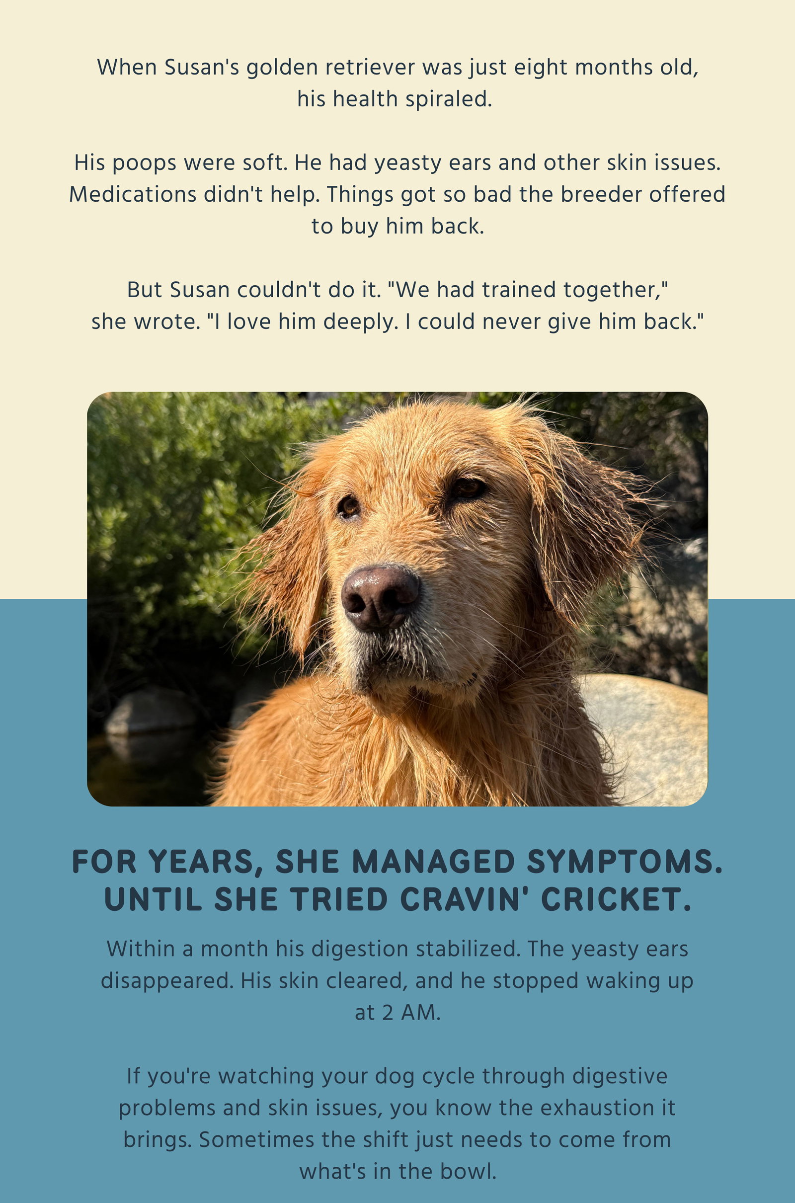 For years, she managed symptoms. Until she tried Cravin' Cricket.