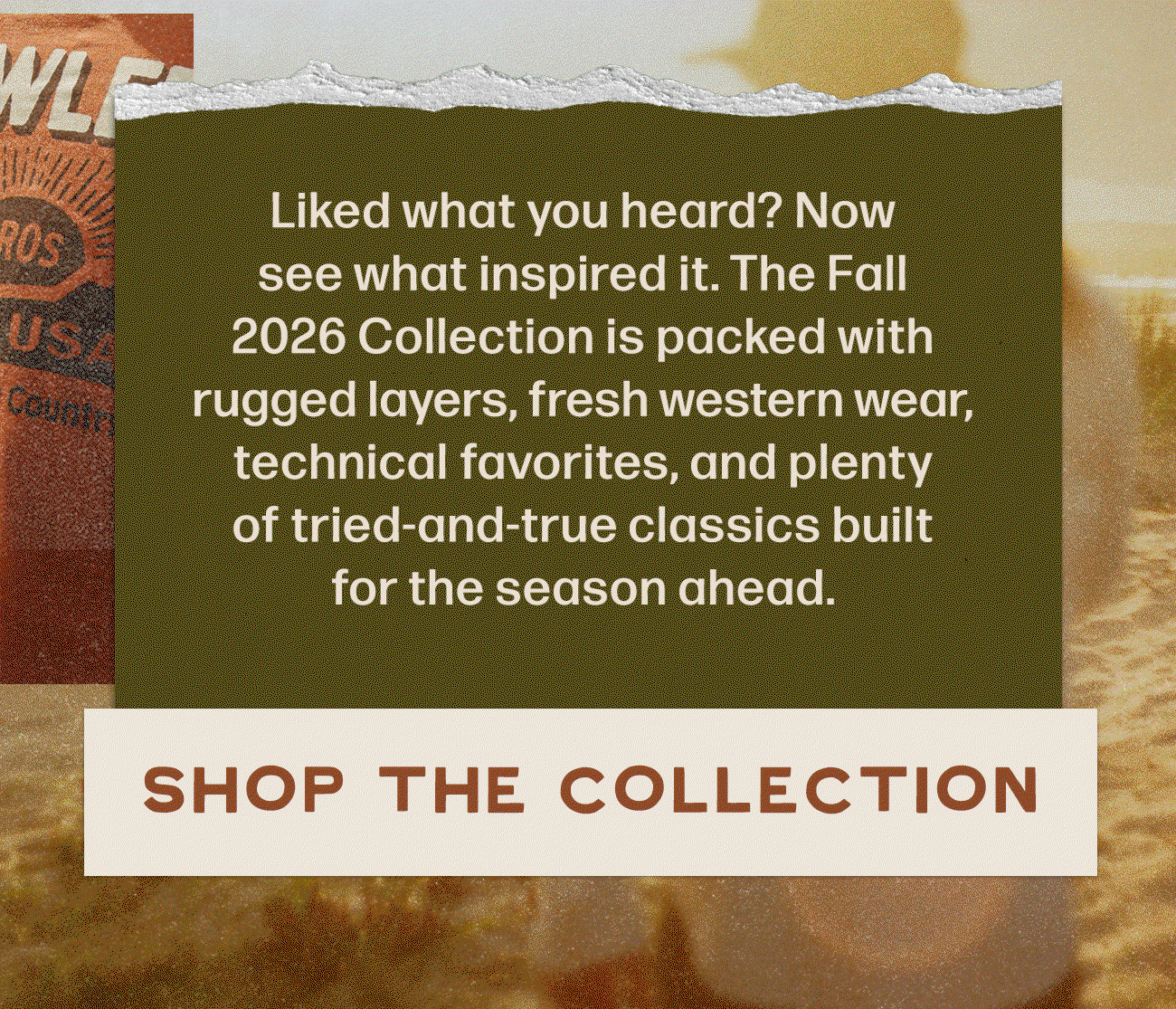 Shop the Collection