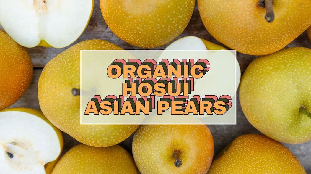 Organic Hosui Asian Pears