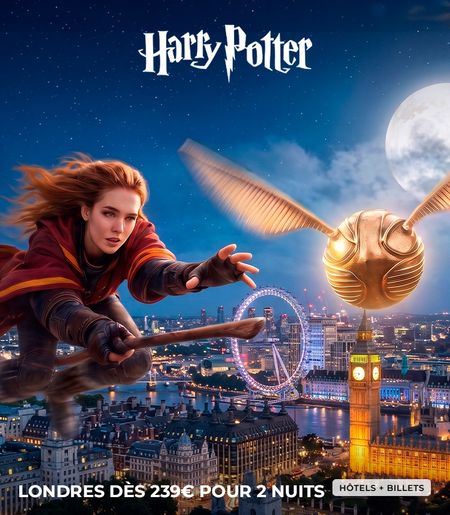 Harry Portter