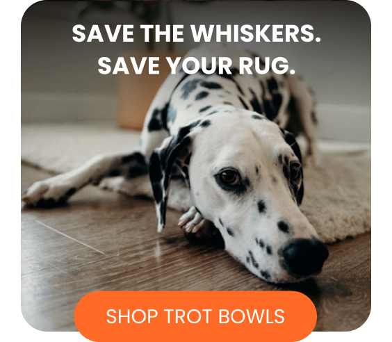 Save the whiskers. Save your rug.
