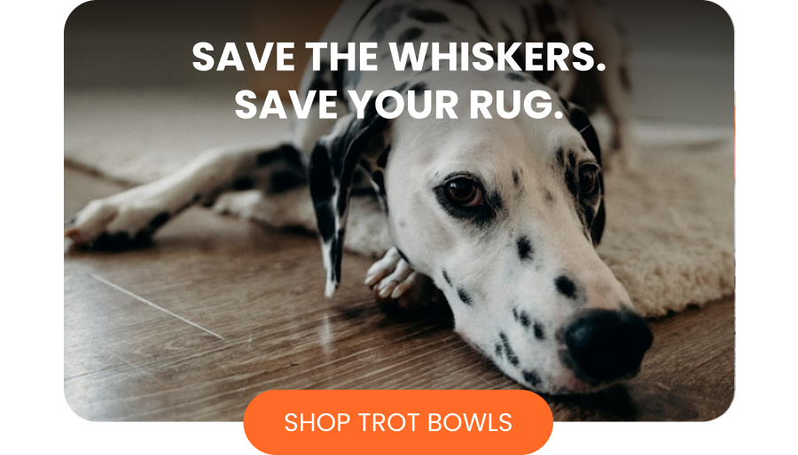 Save the whiskers. Save your rug.