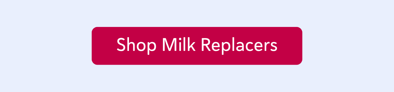 Shop Milk Replacers
