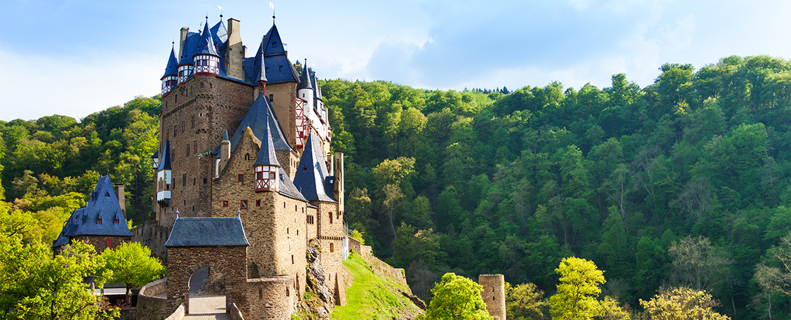 Rhine Gorge river cruise