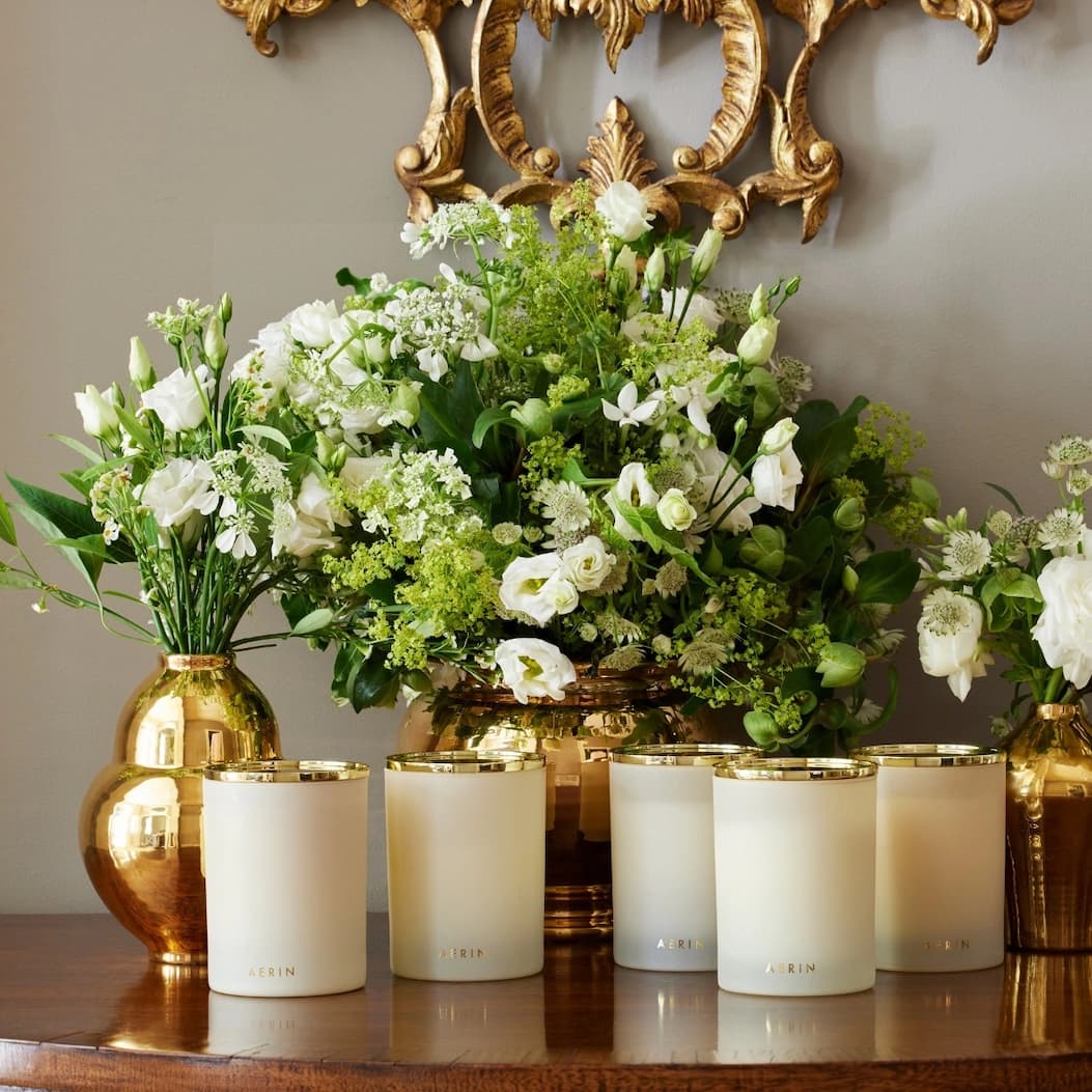 AERIN'S LOVES