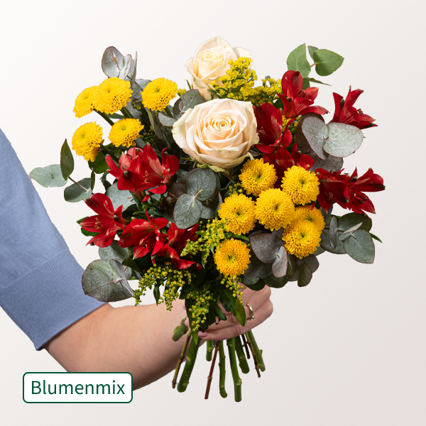 Schöner Blumenmix Lust auf Sommer mit Gratis-Wassereis für 27,99 €