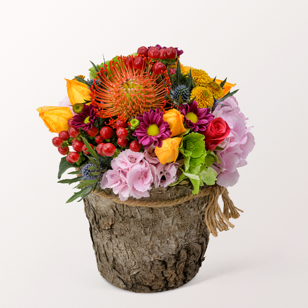 Arrangement Fairytale mit Gratis- Wassereis für 38,99 €