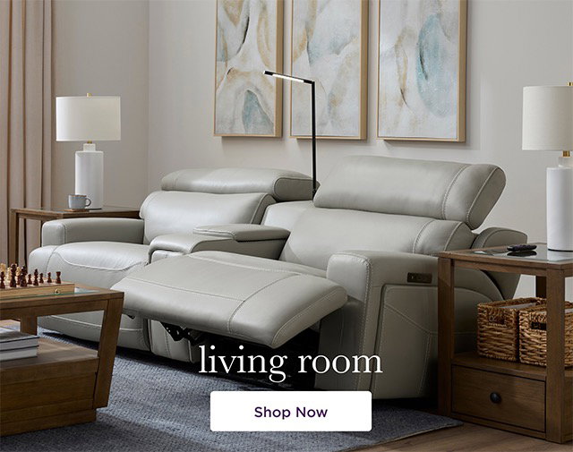 Living Room - Shop Now