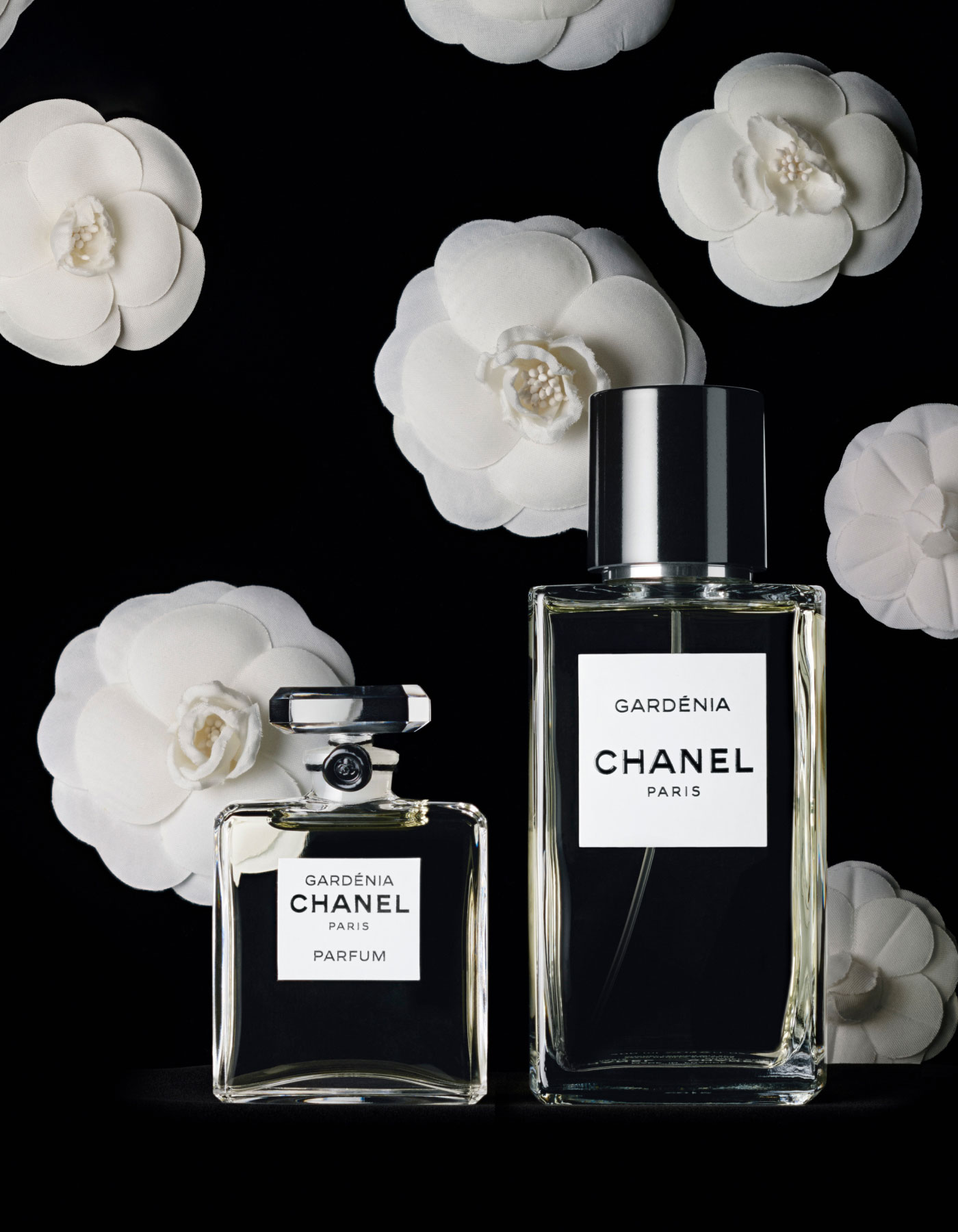 LES EXCLUSIFS DE CHANEL
