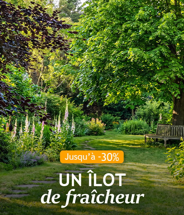 Un îlot de fraîcheur jusqu’à -30% de remise !