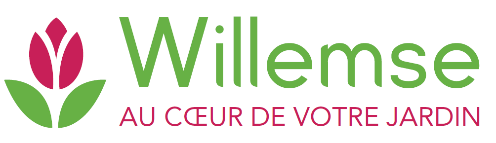 Logo Willemse
