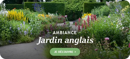 Ambiance jardin anglais