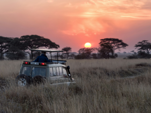Tanzania: Serengeti & beyond