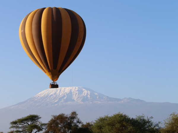 Kenya: Big Five Safari