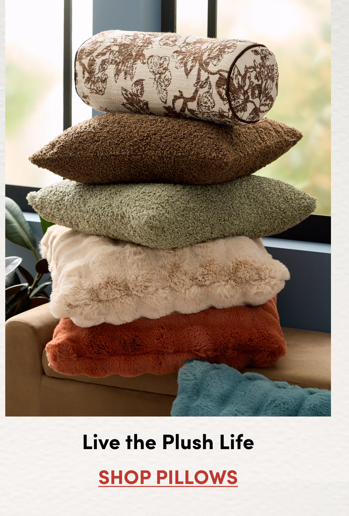 Live the Plush Life | SHOP PILLOWS