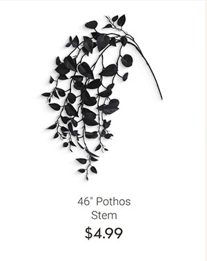 46" Pothos Stem