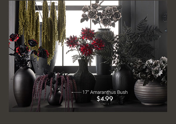17" Amaranthus Bush