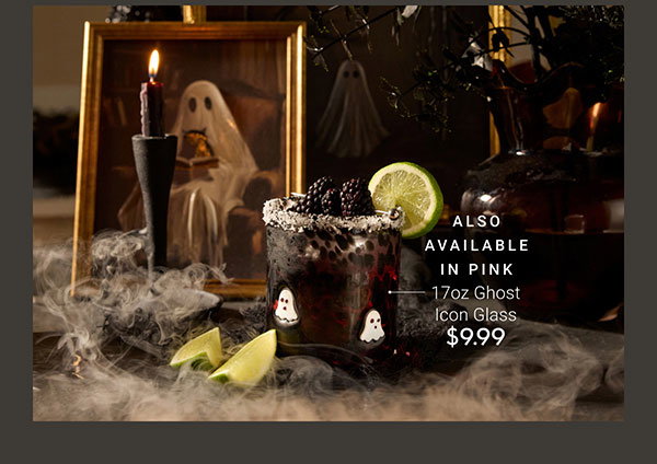 17oz Ghost Icon Glass