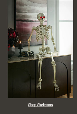 Shop Skeletons >