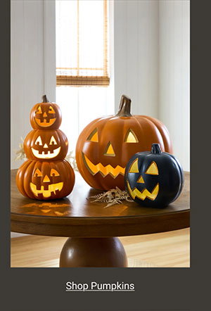 Shop Pumpkins >