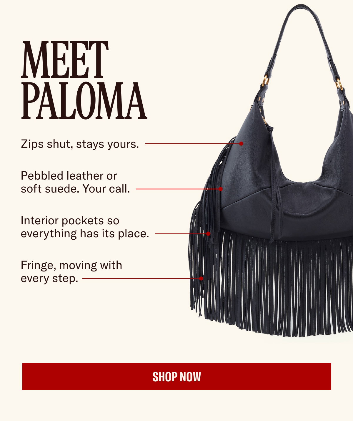 aug05am_palomablack
