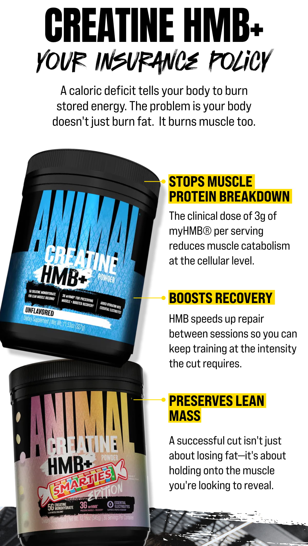 Creatine HMB+ - Your insurance policy