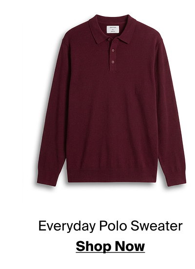 Burgundy Everyday Polo Sweater