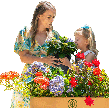 Perfect Plants 
 Plants Family Grown and Shipped to Your Home 
 Grow Dreams, One Plant at a Time