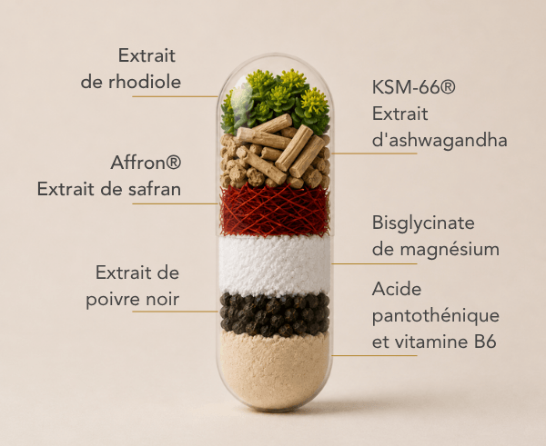 Une formule haut de gamme pour un soutien optimal