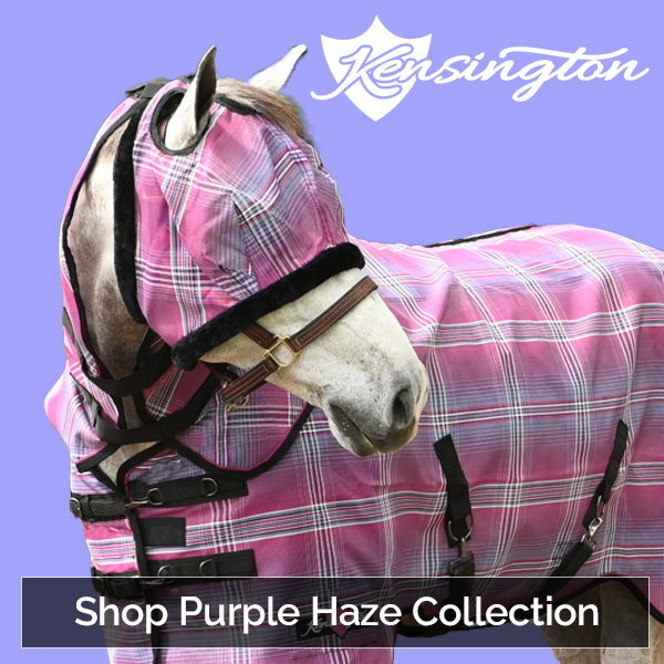 Shop the Kensington Purple Haze Collection