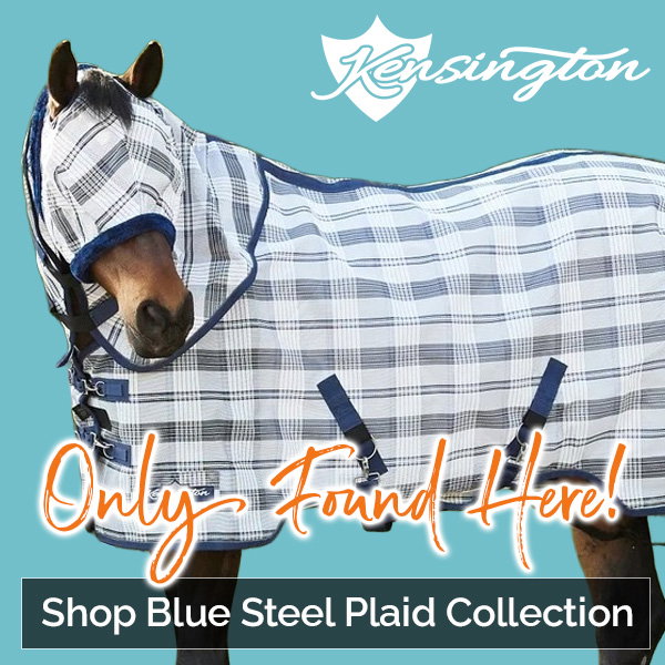 Shop the Kensington Blue Steel Plaid Collection