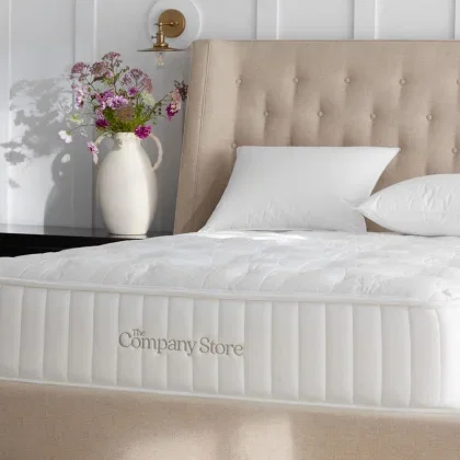 Image of The Company Store Mattress, Twin