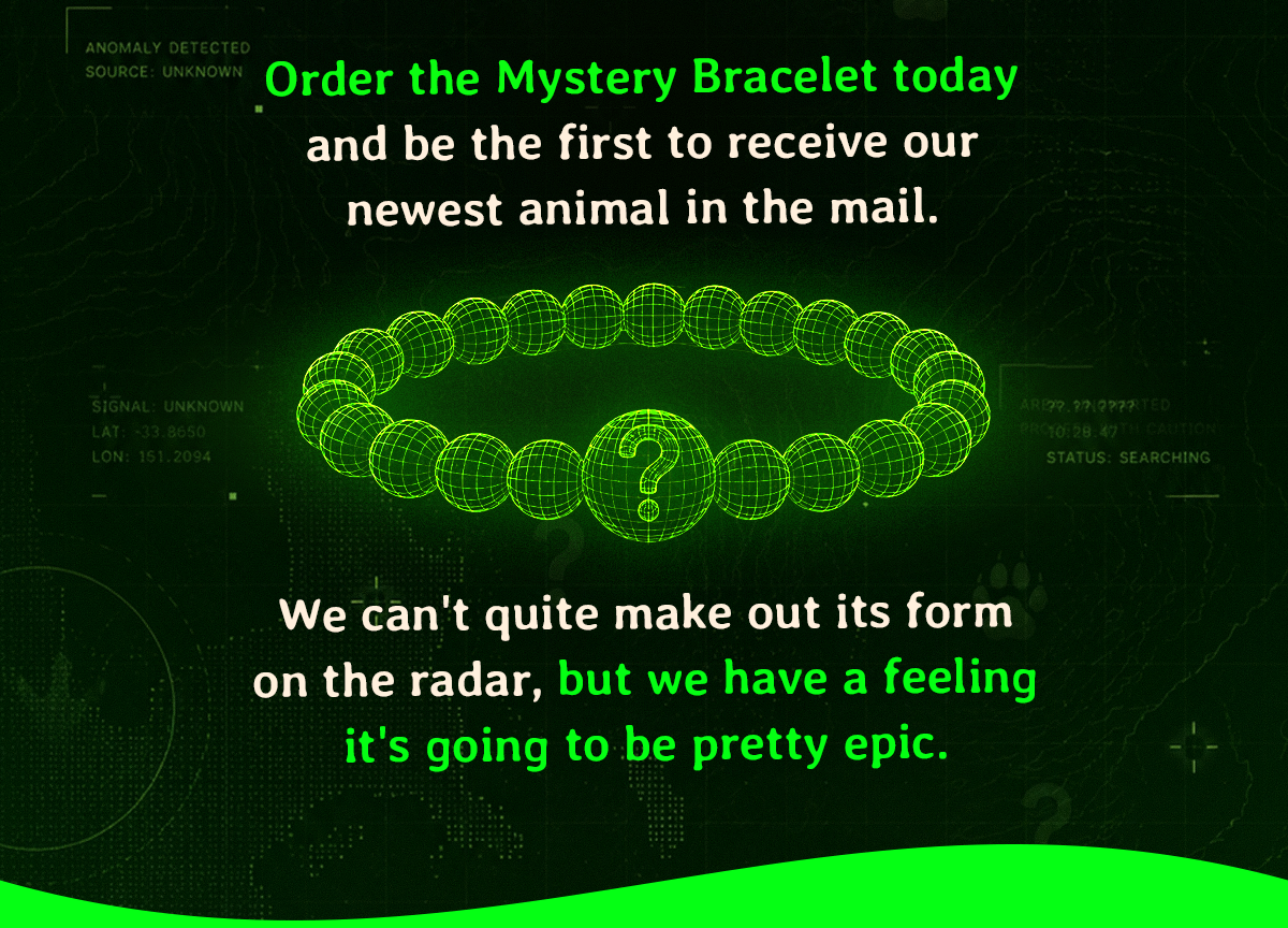 Order the Mystery Bracelet today and be the first to receive our newest animal in the mail. 