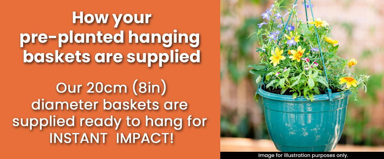 How your baskets are supplied
