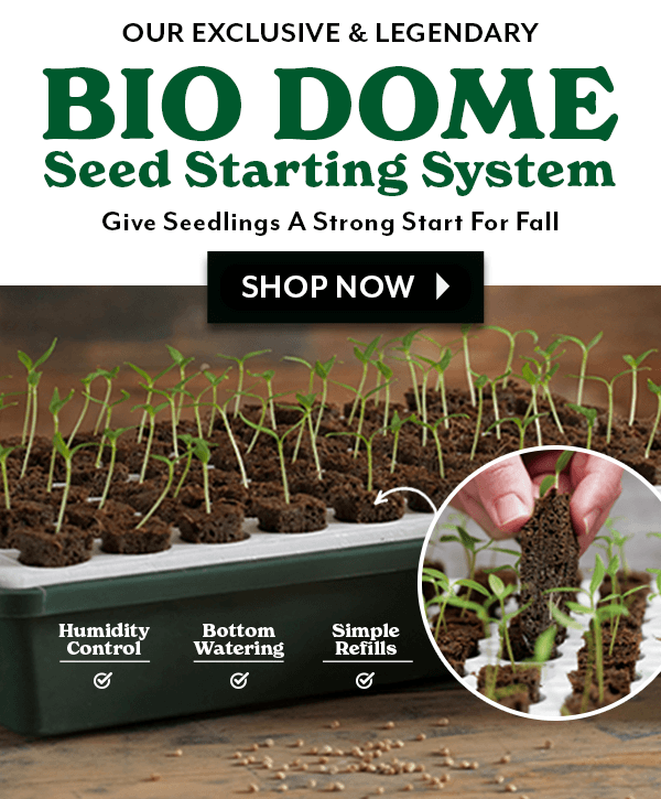 SOME SEEDS TAKE TIME - PLAN YOUR NEXT HARVEST